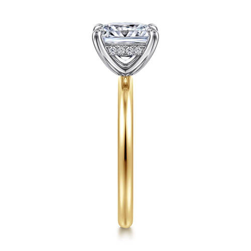 14K White-Yellow Gold  Princess Cut Diamond Engagement Ring