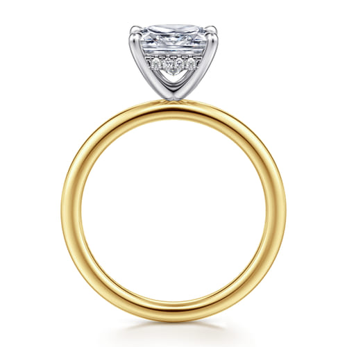 14K White-Yellow Gold Princess  Diamond Engagement Ring