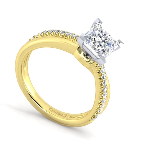 14K White-Yellow Gold Princess Cut Diamond Engagement Ring