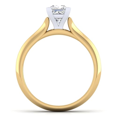 14K White-Yellow Gold Princess Cut Diamond Engagement Ring