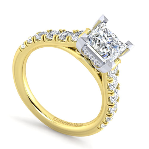 14K White-Yellow Gold Princess Cut Diamond Engagement Ring