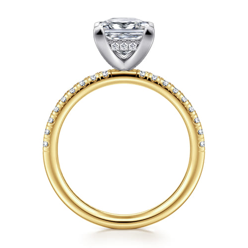 14K White-Yellow Gold Princess Cut Diamond Engagement Ring