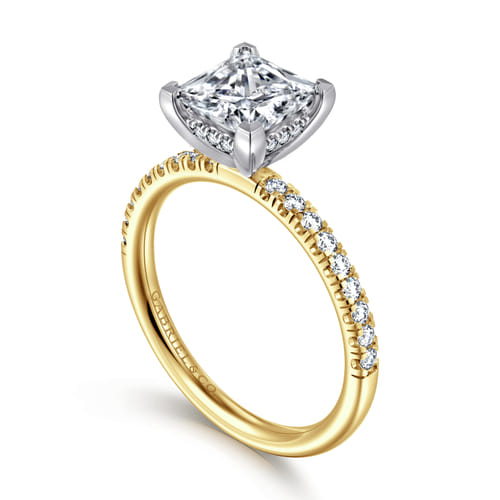 14K White-Yellow Gold Princess Cut Diamond Engagement Ring