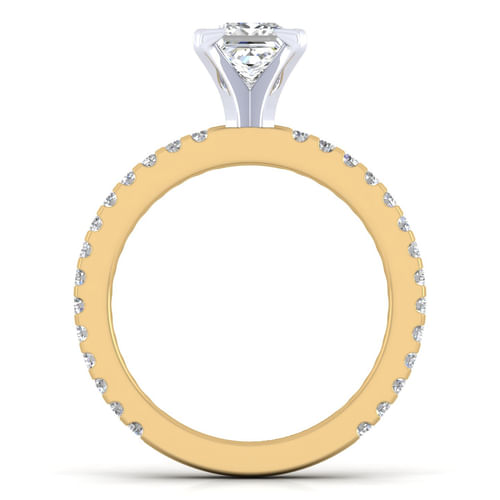 14K White-Yellow Gold Princess Cut Diamond Engagement Ring
