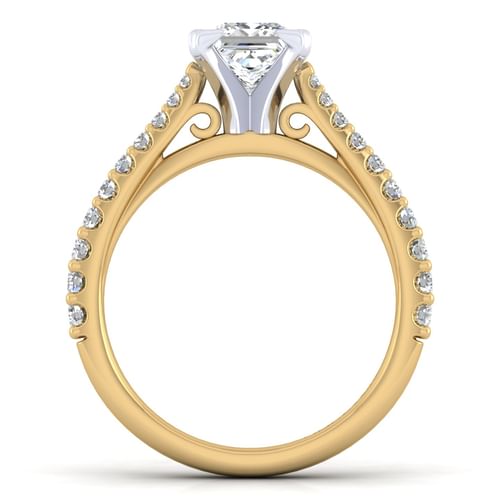 14K White-Yellow Gold Princess Cut Diamond Engagement Ring