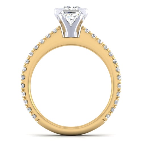 14K White-Yellow Gold Princess Cut Diamond Engagement Ring