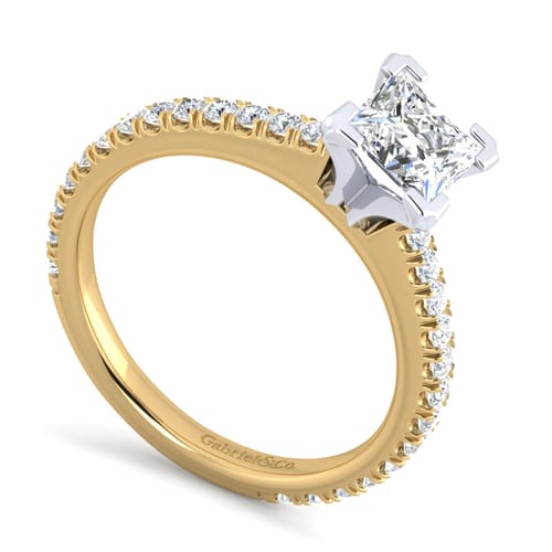 14K White-Yellow Gold Princess Cut Diamond Engagement Ring