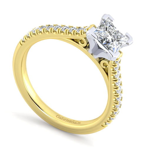 14K White-Yellow Gold Princess Cut Diamond Engagement Ring