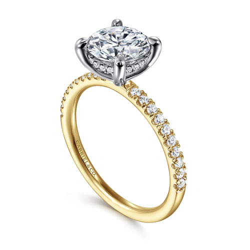 14K White-Yellow Gold Round Hidden Halo Diamond and Engagement Ring