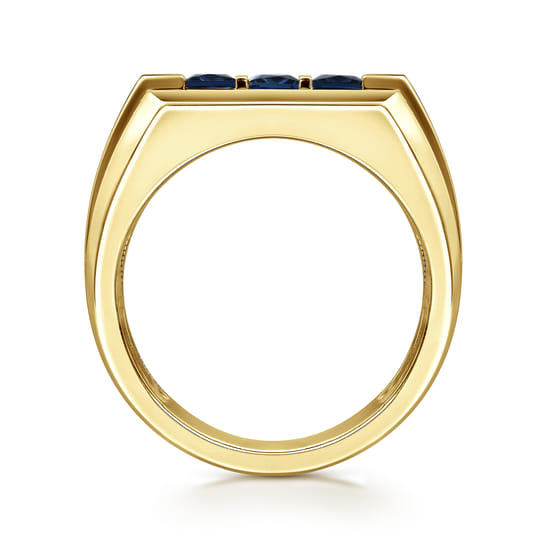 14K Yellow Gold Sapphire Men's Ring in Sand Blast Finish angle 2