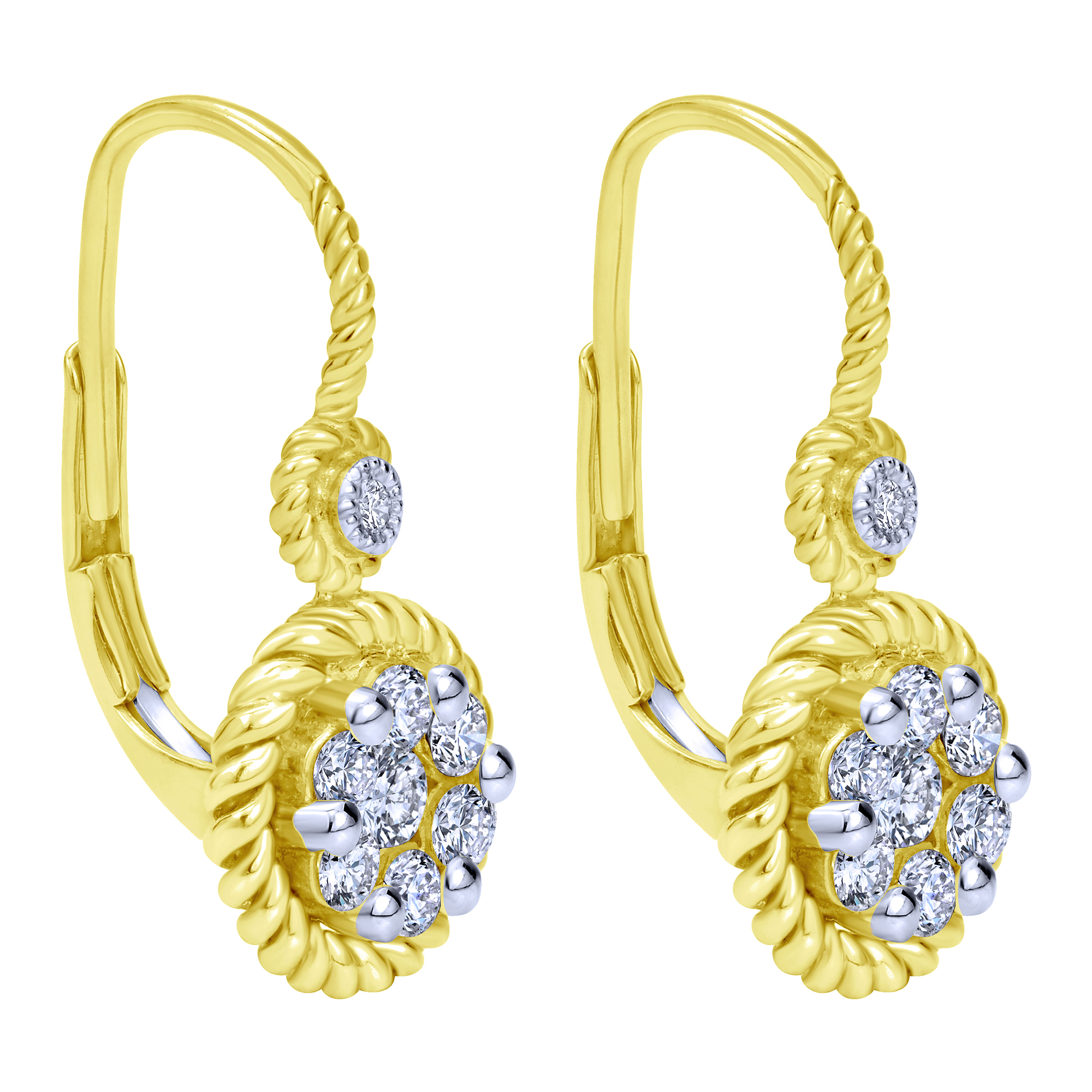 14K Yellow-White Gold Fashion Earrings