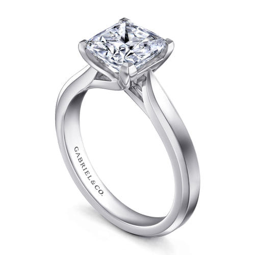 Platinum Princess Cut Diamond Engagement Ring