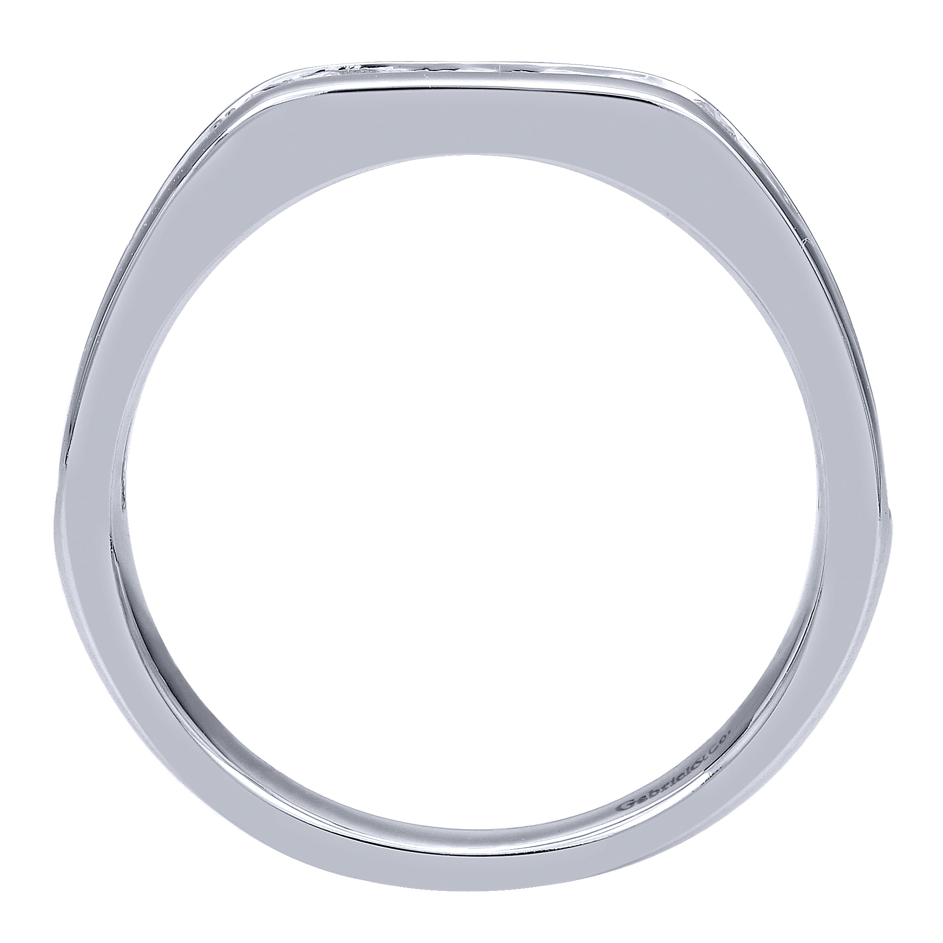 14k White Gold Diamond Straight Anniversary Band angle 2 14k White Gold Diamond Straight Anniversary Band angle 2